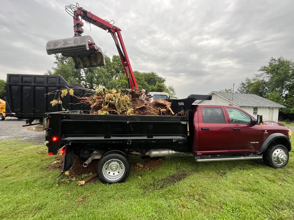 Tree Maintenance for Real Deal Lawn Care in Goodlettsville, TN