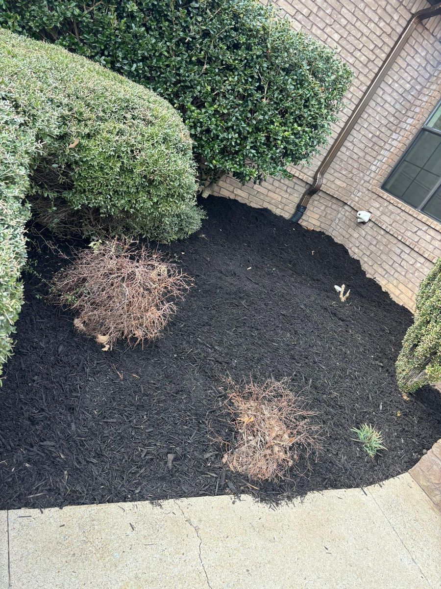 Landscape And Design for Harness Lawn and Land Management  in Jonesboro ,  AR