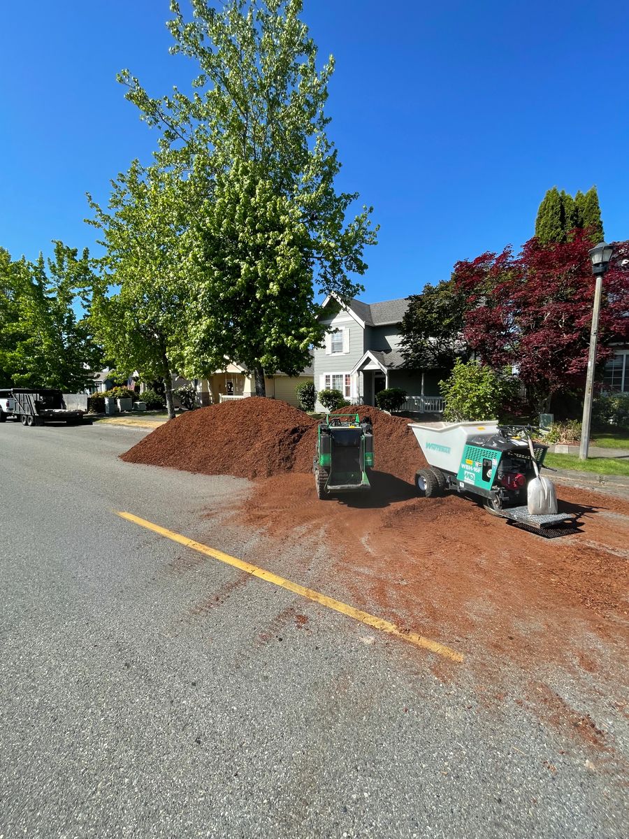 Property Maintenance for Stealth Landscaping in Black Diamond, WA