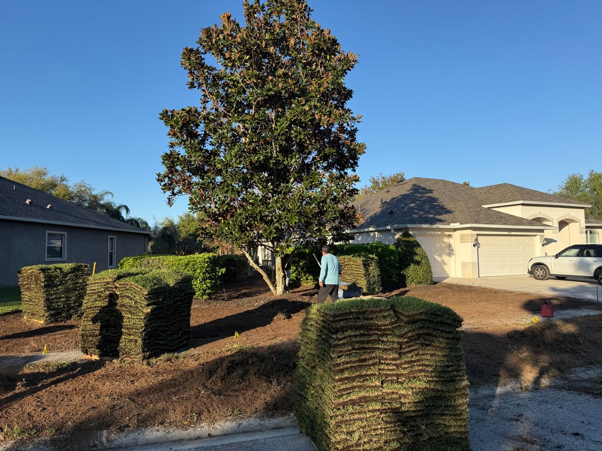 Sod Installation for Gulf Bay Sod in Clearwater, FL