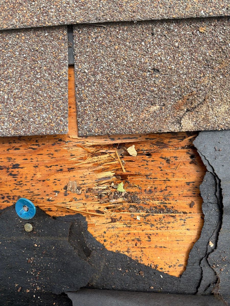 Causation and Damage Expert Reports for Catastrophe Loss Consultants in Fort Worth, TX