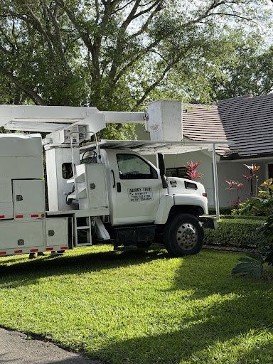 Tree Trimming for Nurry Tree Services in Miami, FL