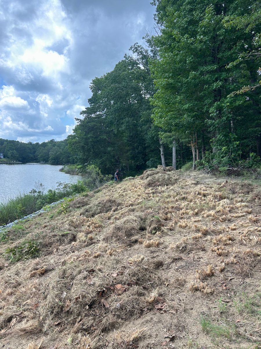 Leaf Removal  for The Whole 9 Yards Landscape VA in Heathsville, VA