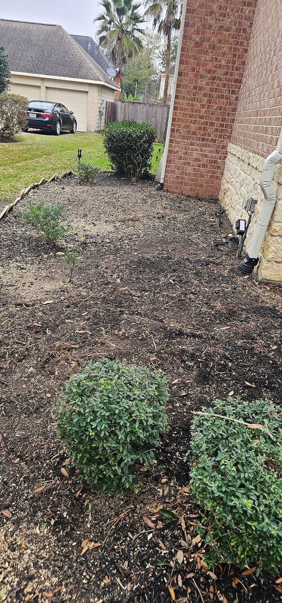 Fall Clean Up for Servin's Tree Care  in Houston, TX