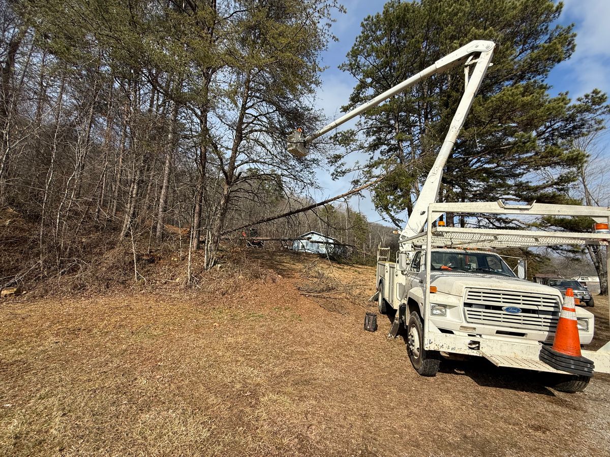 Tree Trimming for Lucky’s Tree Removal and Landscape Services in Clinton, TN
