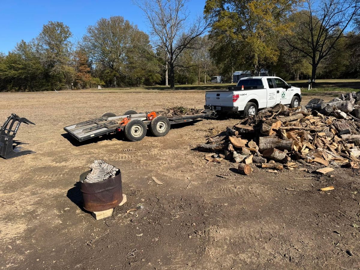 Firewood for Action Tree & Debris Removal in Jackson,  MS