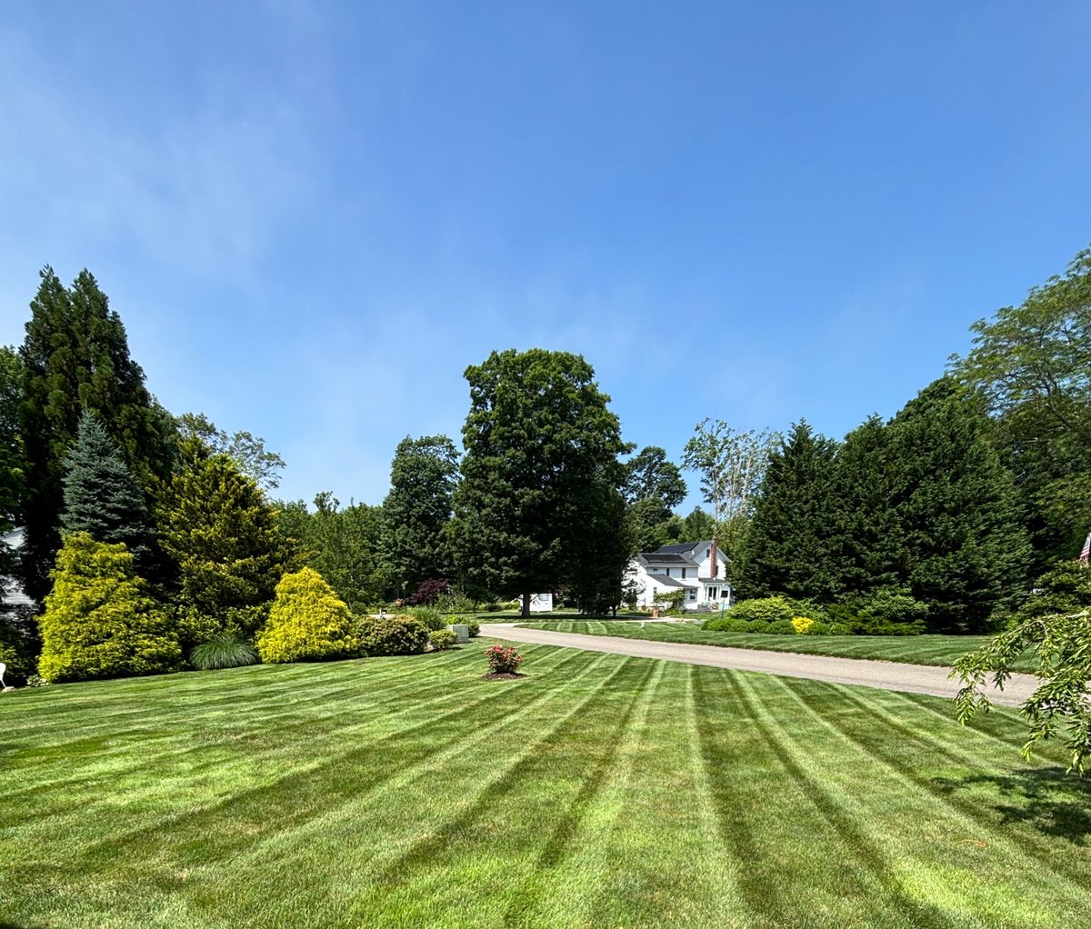 Premium Lawn Maintenance for Emerald Exterior Property Management in Old Lyme, CT