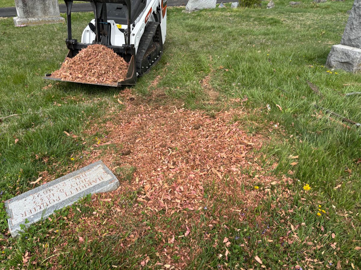 Stump Removal for Conrad's Stump Removal in Columbus, IN