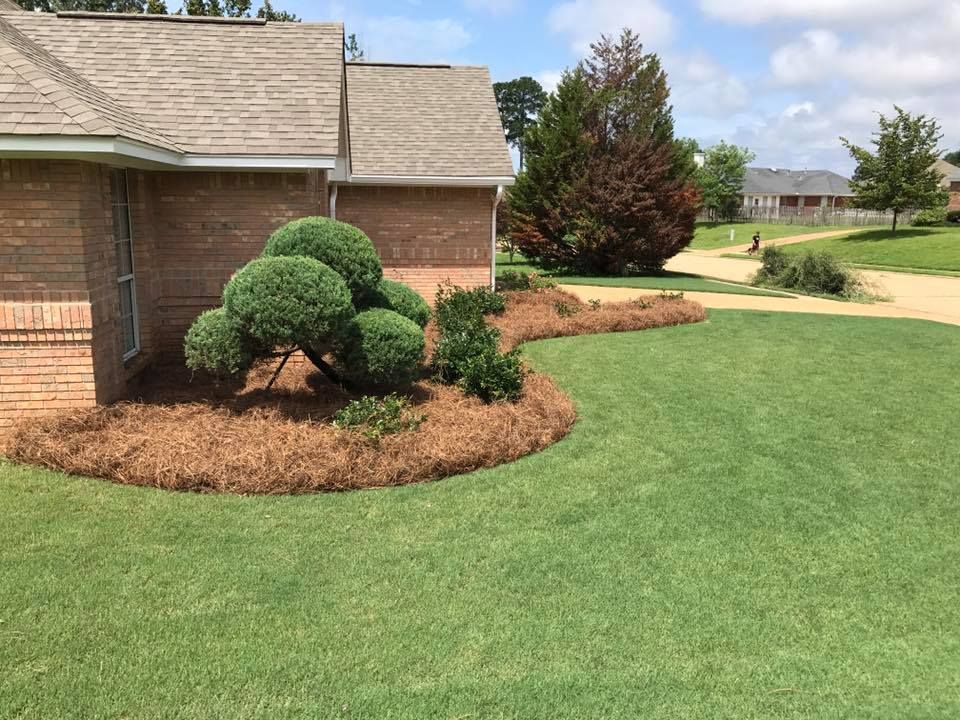 Landscape Design for Vaske Lawn Care in Burlington, KY