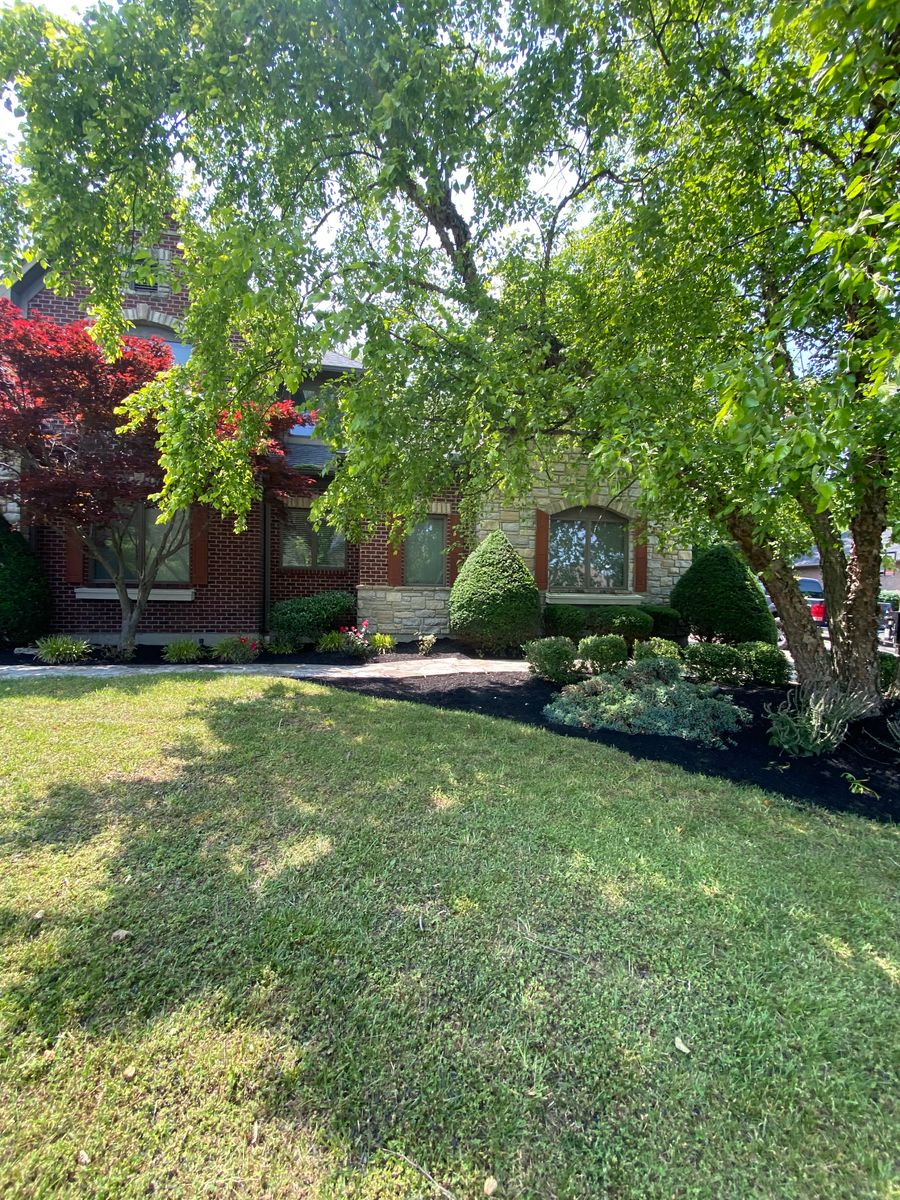 Shrub Trimming for Castle JR Landscaping & Painting LLC in Cincinnati, OH