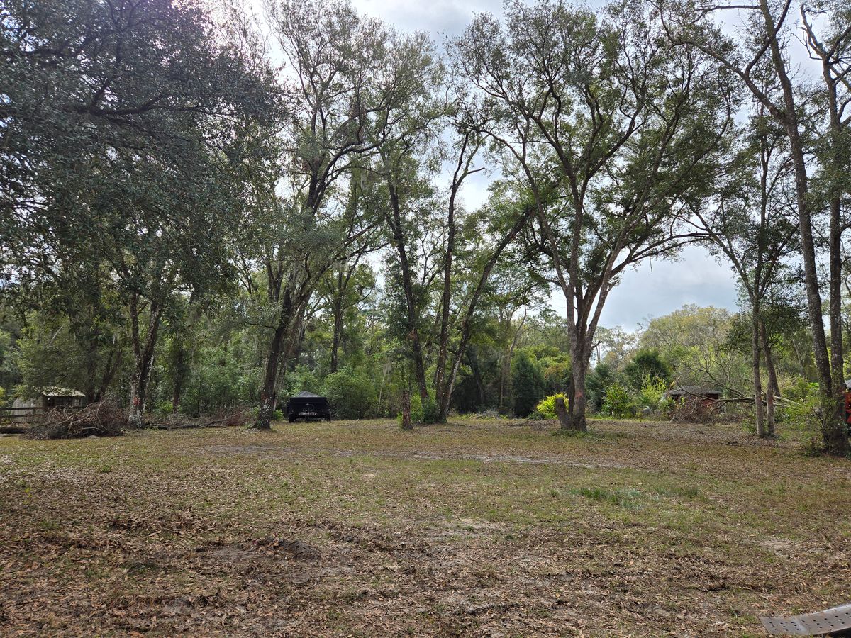 Land Clearing for Downer Site Services in Sanford, FL