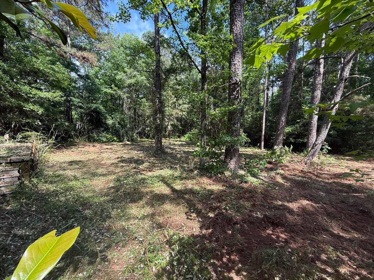 Land Clearing for Koelbl Site Works LLC in Fayetteville, GA