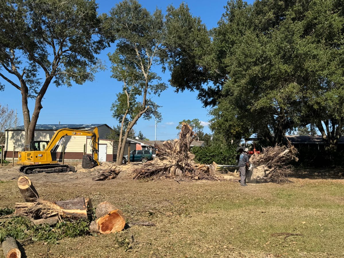 Land Clearing for Heverly Land Solutions in Winter Haven, FL