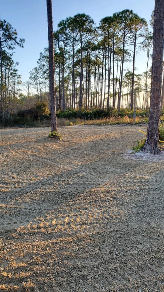 Land Clearing for Between The Hedges Landscape & Trucking LLC in Altha, FL