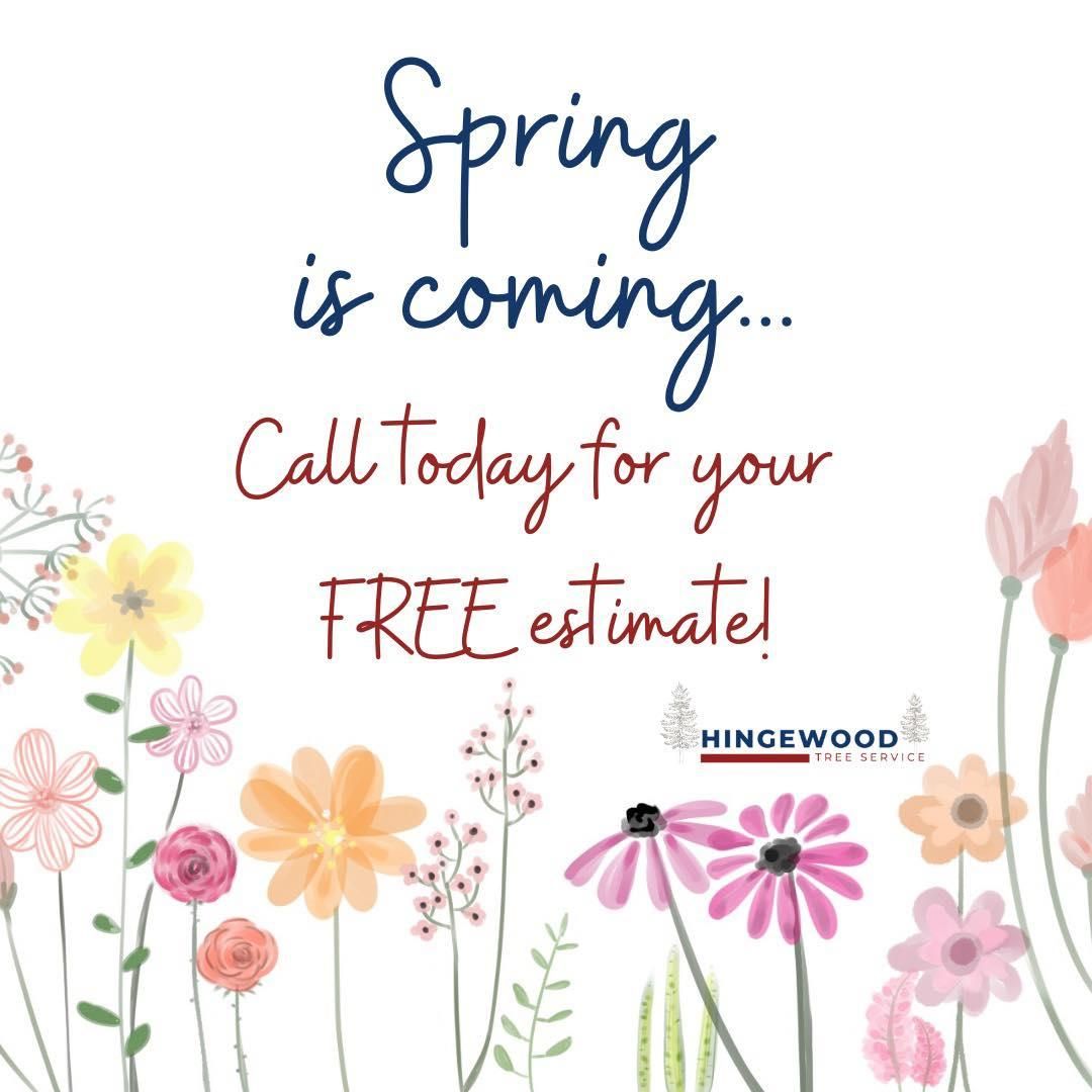 Tree Trimming for Hingewood Tree Service in Salem, NJ