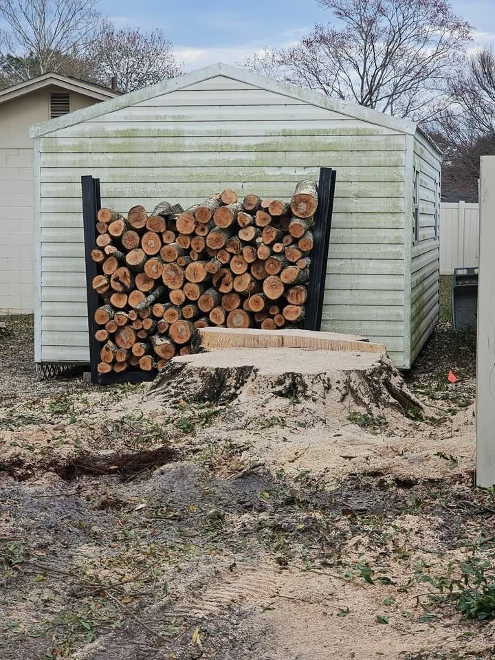 Stump Removal for Stumps done right LLC in Middleburg, FL