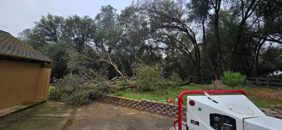 Storm Damage for George Staddan's Professional Tree Care in Placerville, CA