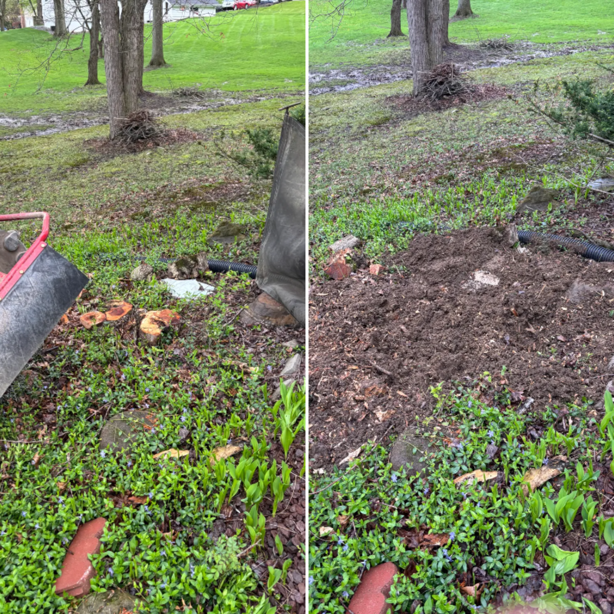 Stump Removal for Dean's Stump Removal in Youngstown, OH