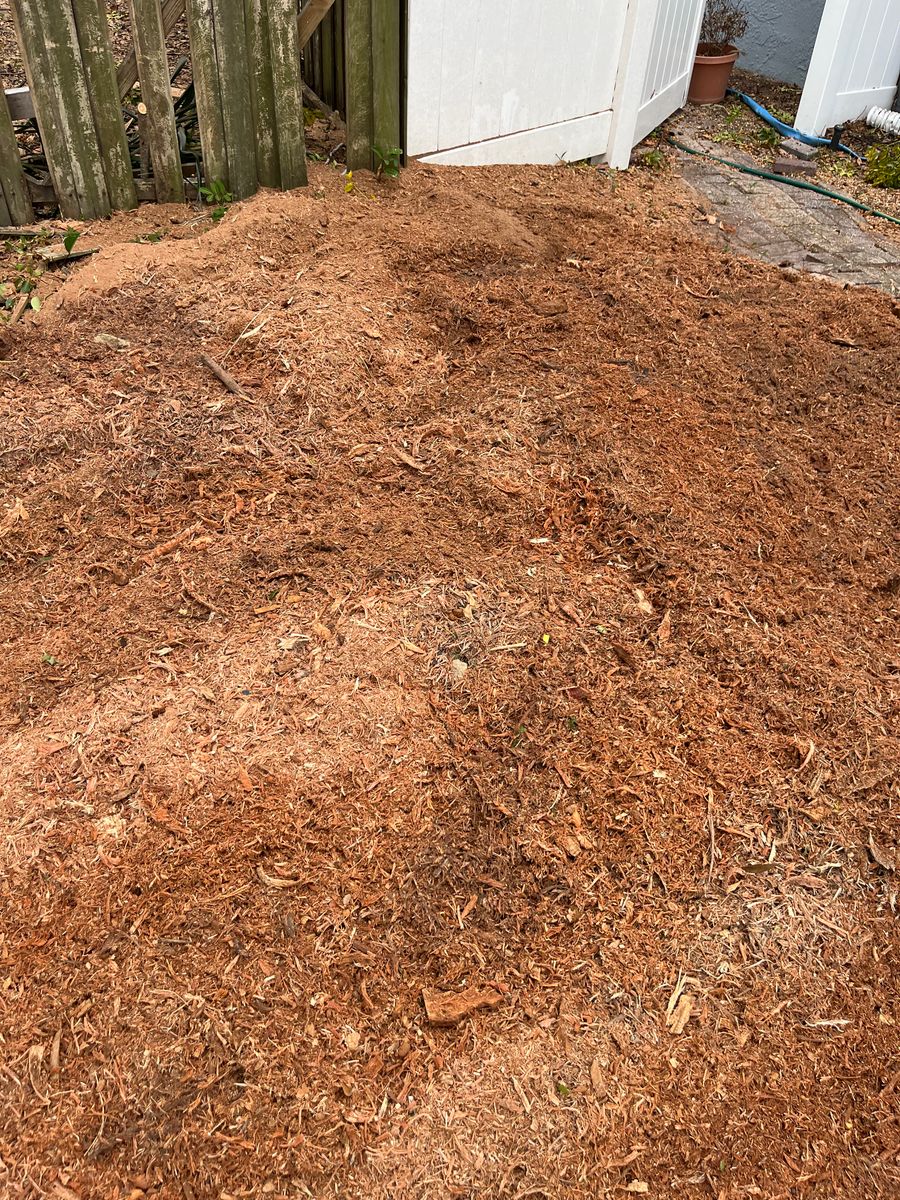 Stump Grinding for KB’s Stump Removal in Seminole, FL
