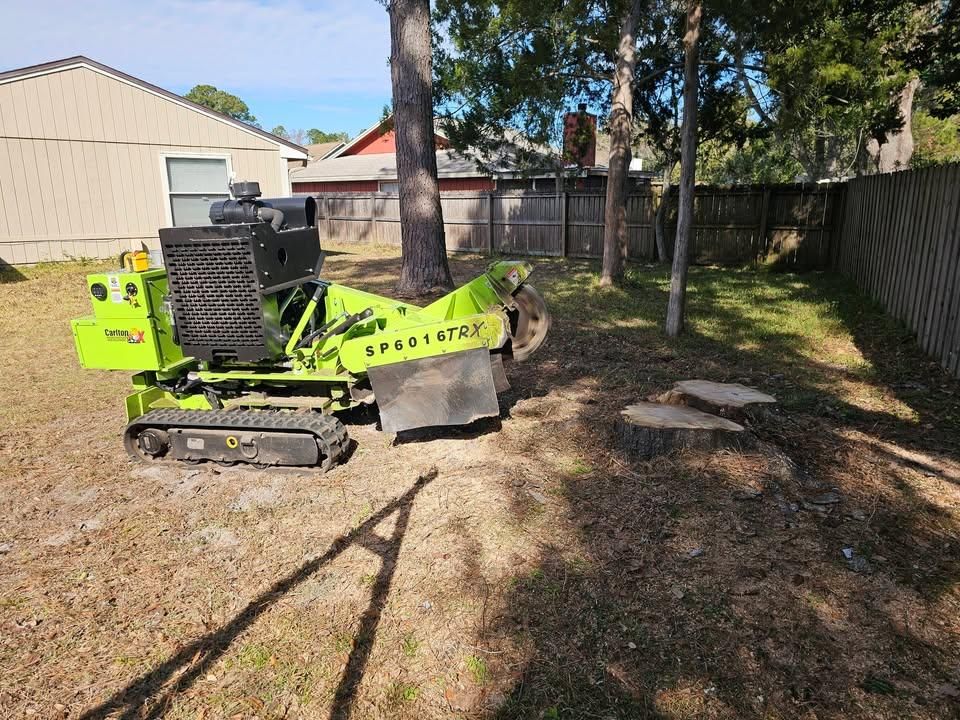 Stump Removal for Stumps done right LLC in Middleburg, FL