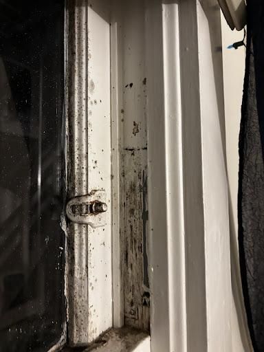Mold Inspections for Lira Home Inspections in Concord, CA