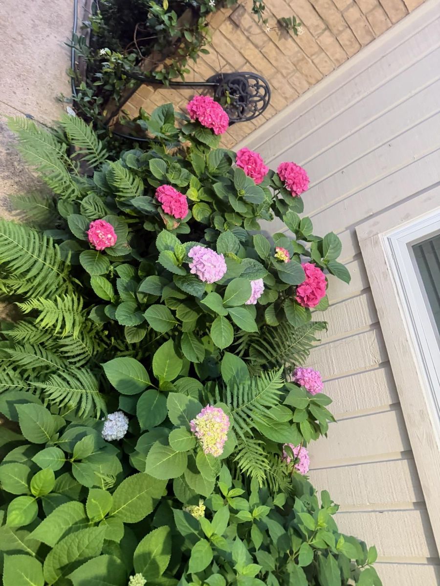 Landscape Design for Green City Landscape and Lawn Care LLC in Mesquite, TX