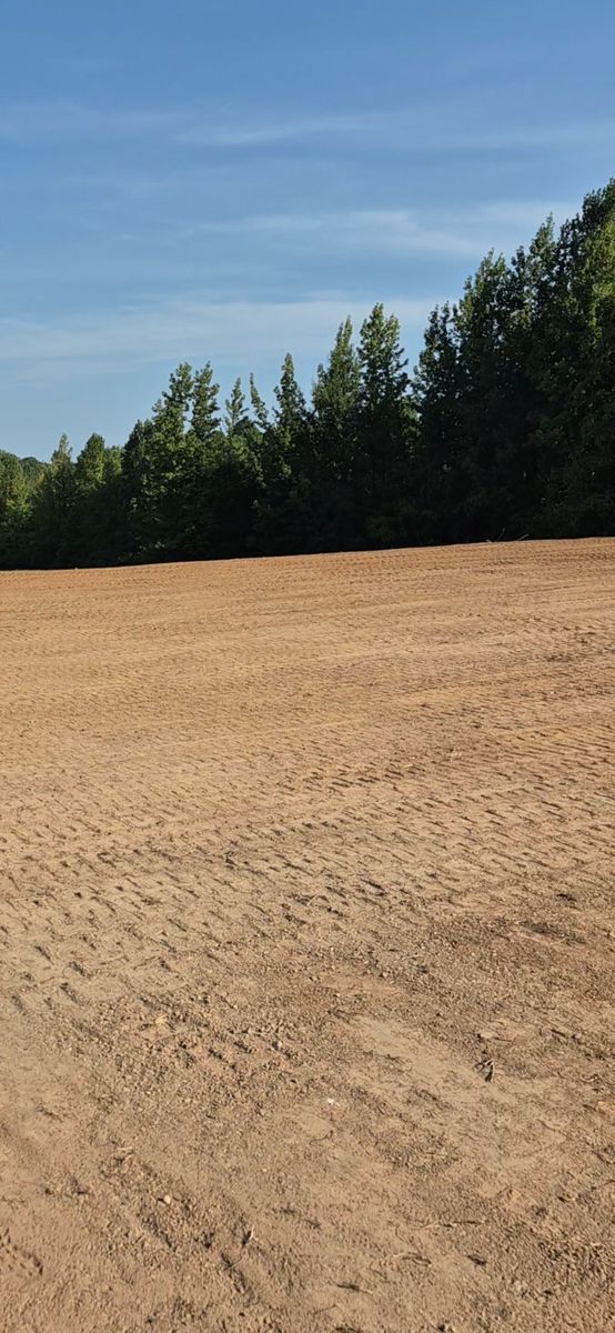 Land Clearing for 5 Star Land Management in Beech Bluff, TN