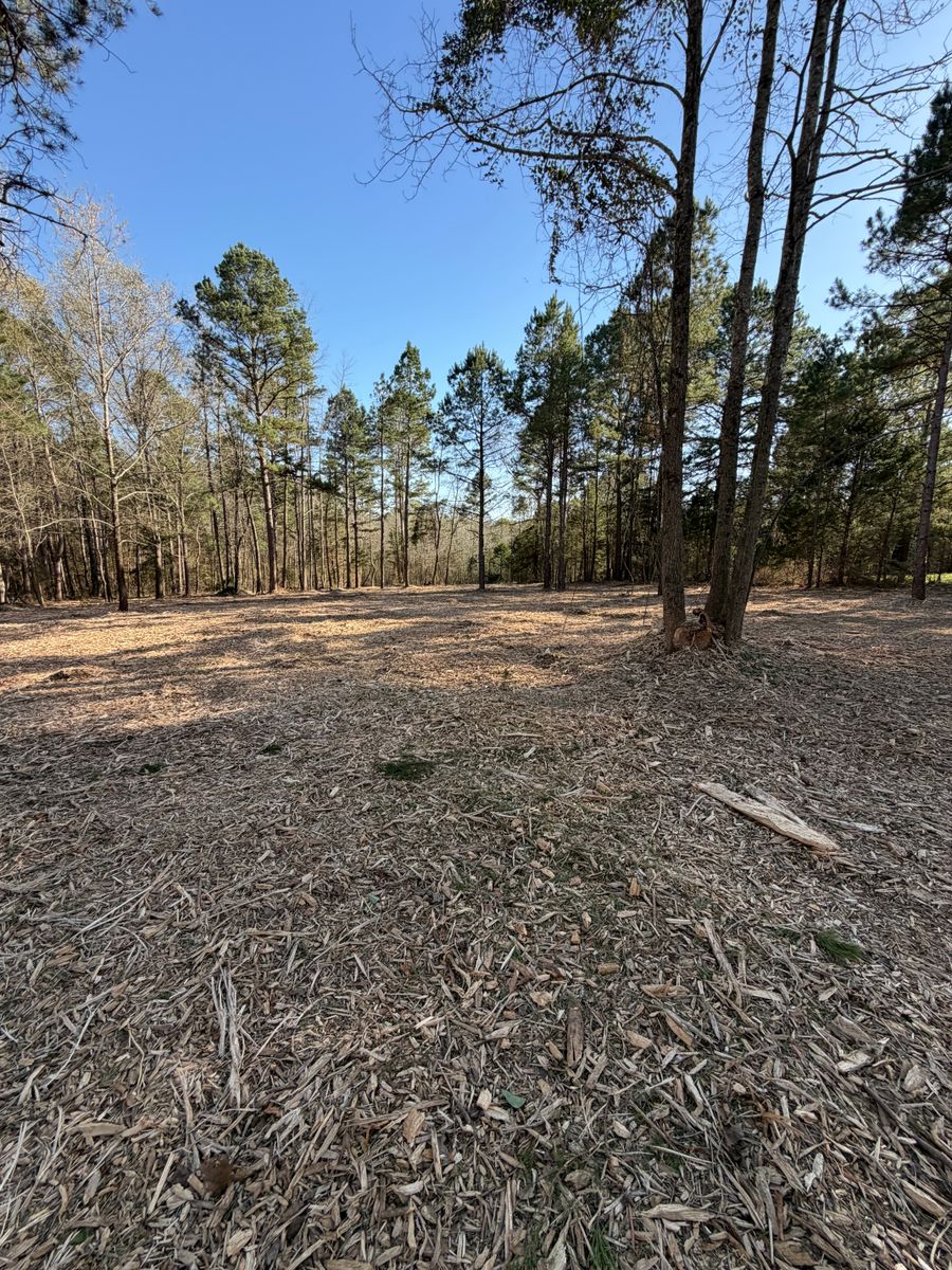 Forestry Mulching for 903 Mulching in East Mountain, TX
