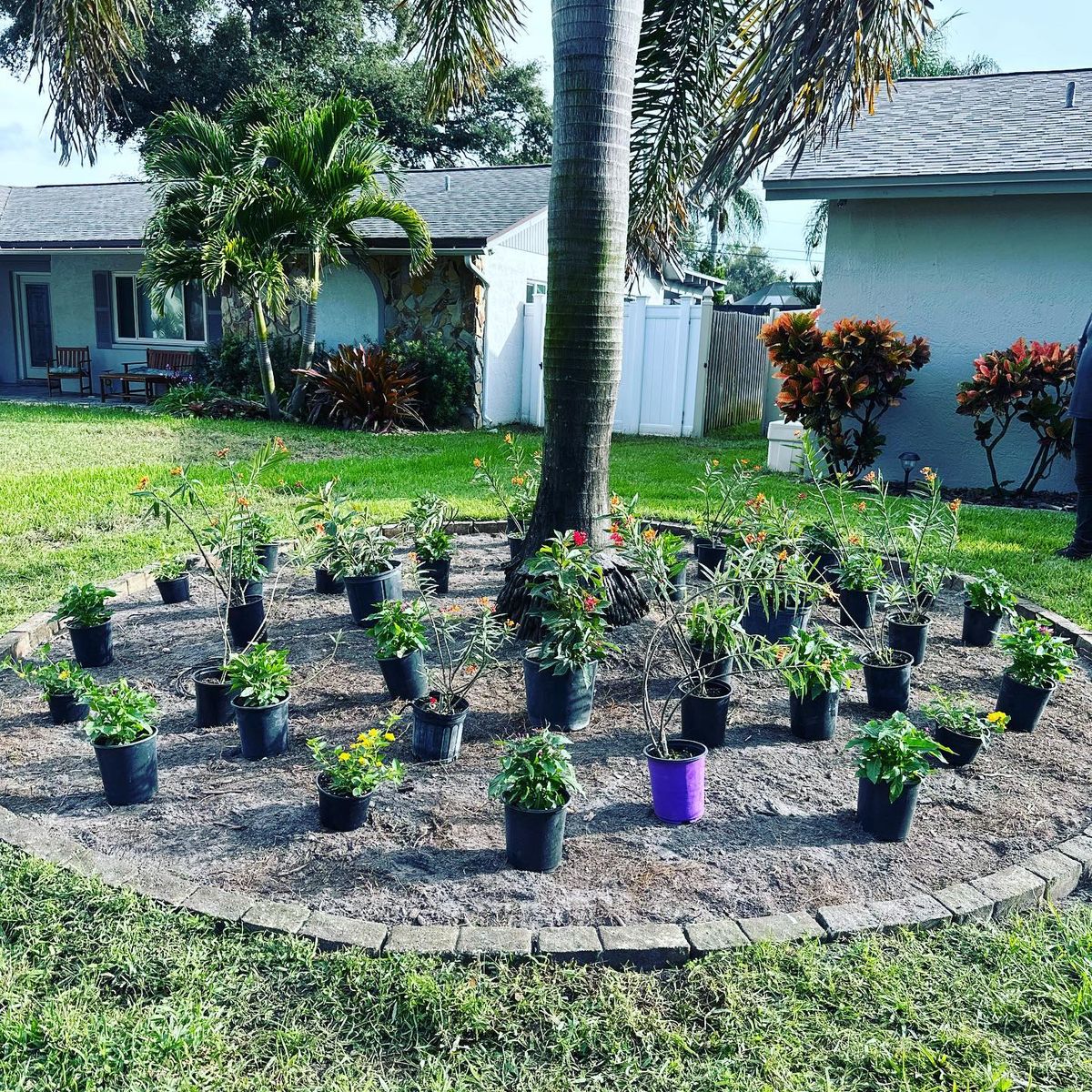 Landscape Maintenance for GS Lawn & Landscape in Clearwater, FL