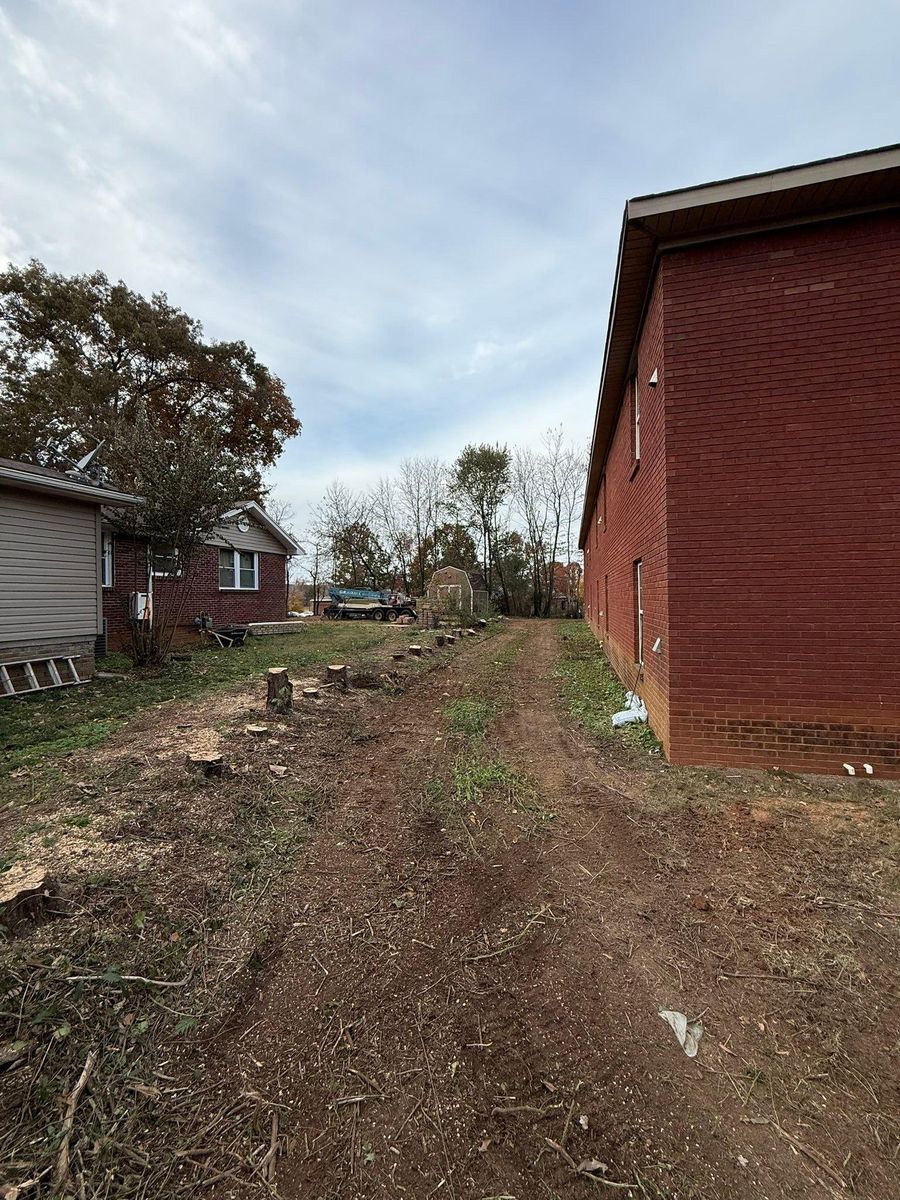 Tree Trimming & Removal for Mud Creek Vegetation Management in Russellville, AL