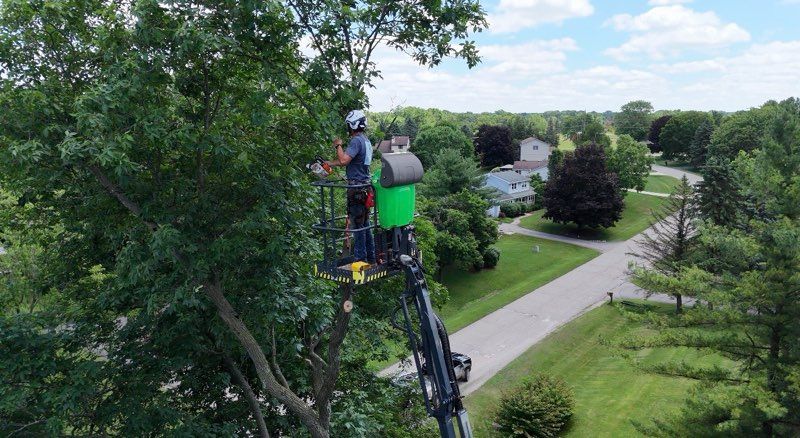 Landscaping Services for DGD Outdoor Services LLC in Howell, MI