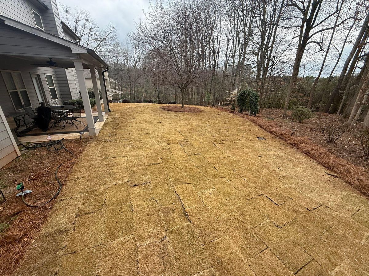 🌿 Residential Lawn Care Services for GA Lawn Care Pros in Jefferson, GA