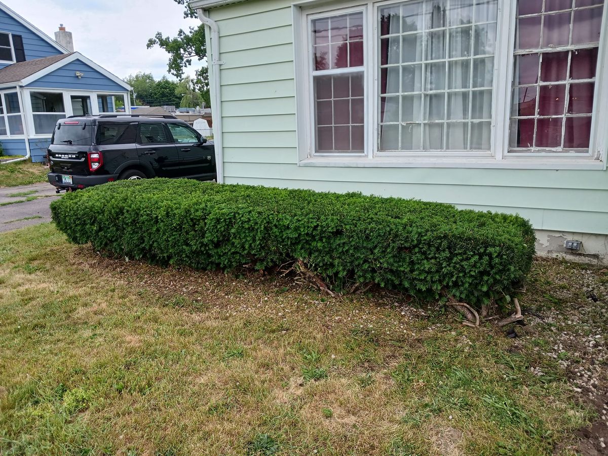 Shrub Trimming for On The Spot Lawn Maintenance & Pressure Washing in Jackson, MI