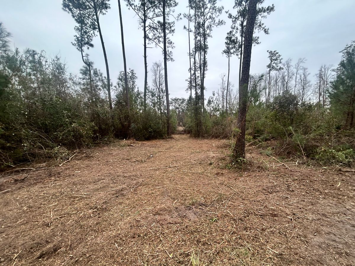 Mulching for Southeast Aquatic Land Services LLC  in Waycross, GA