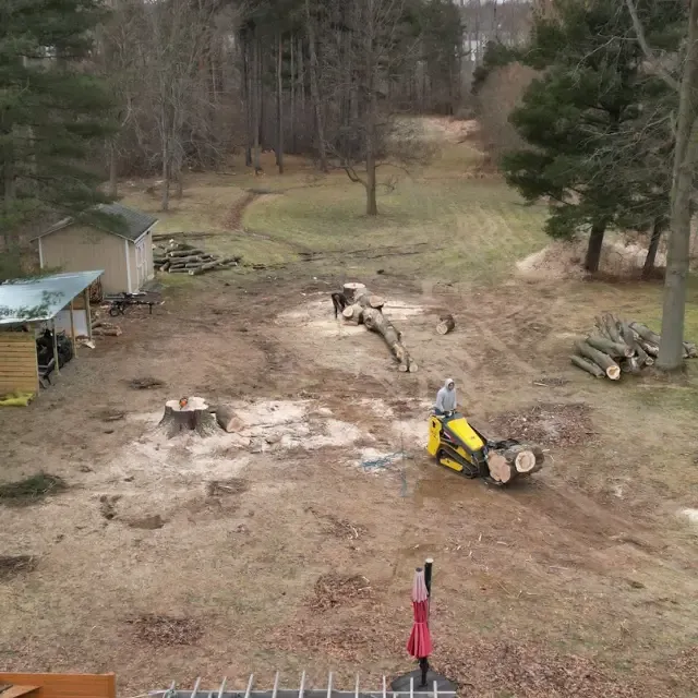 Tree Removal for Huntsville Tree Service in Huntsville, AL