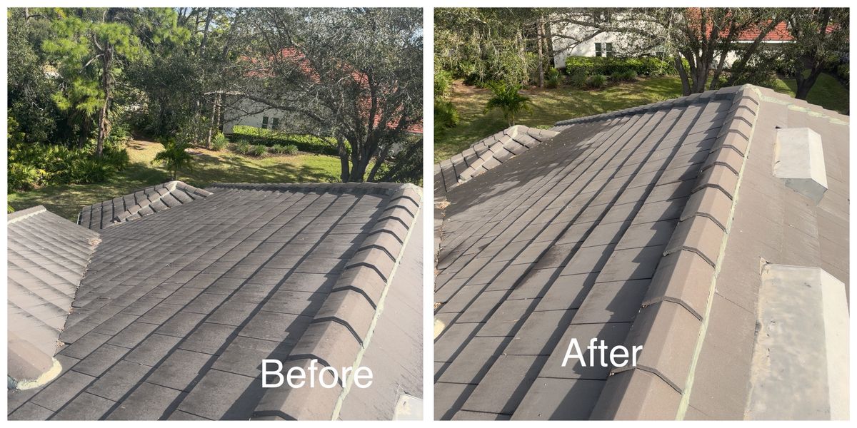 Roof Cleaning and power wash for My Soft Wash Guys in Venice, FL