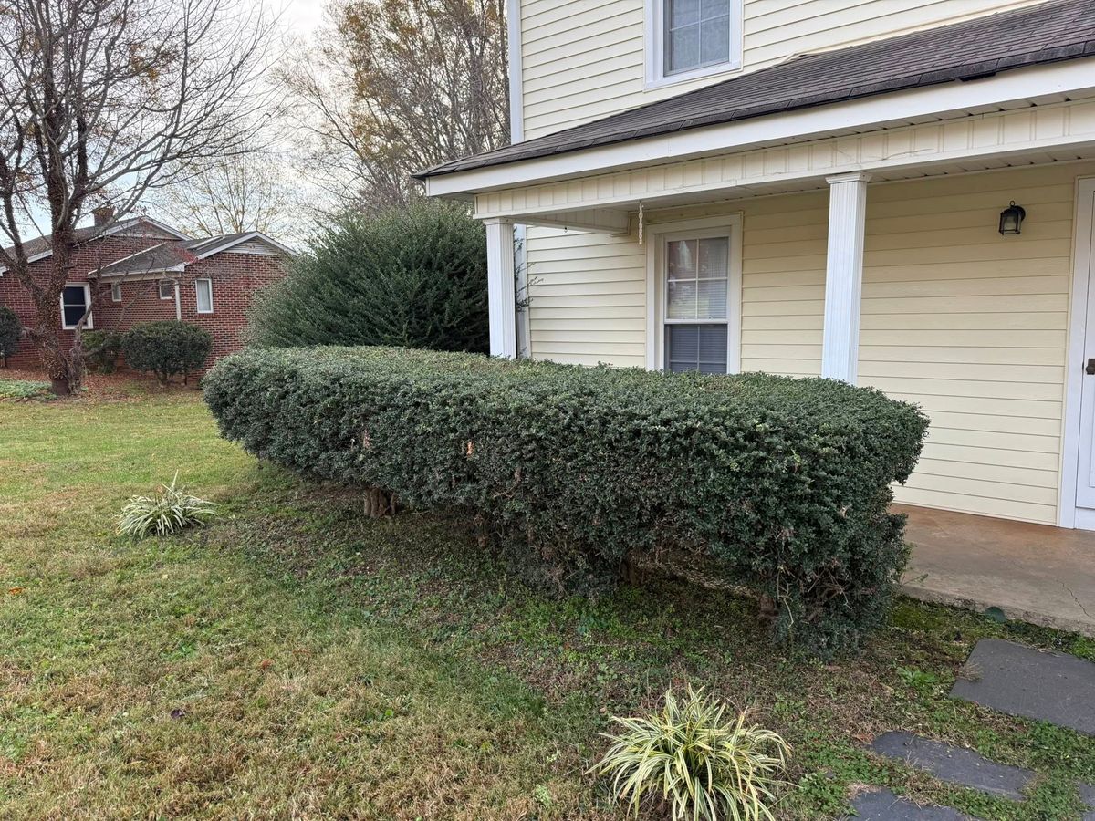 Landscape Design for Down South Tree Care and Landscaping in Maiden, NC