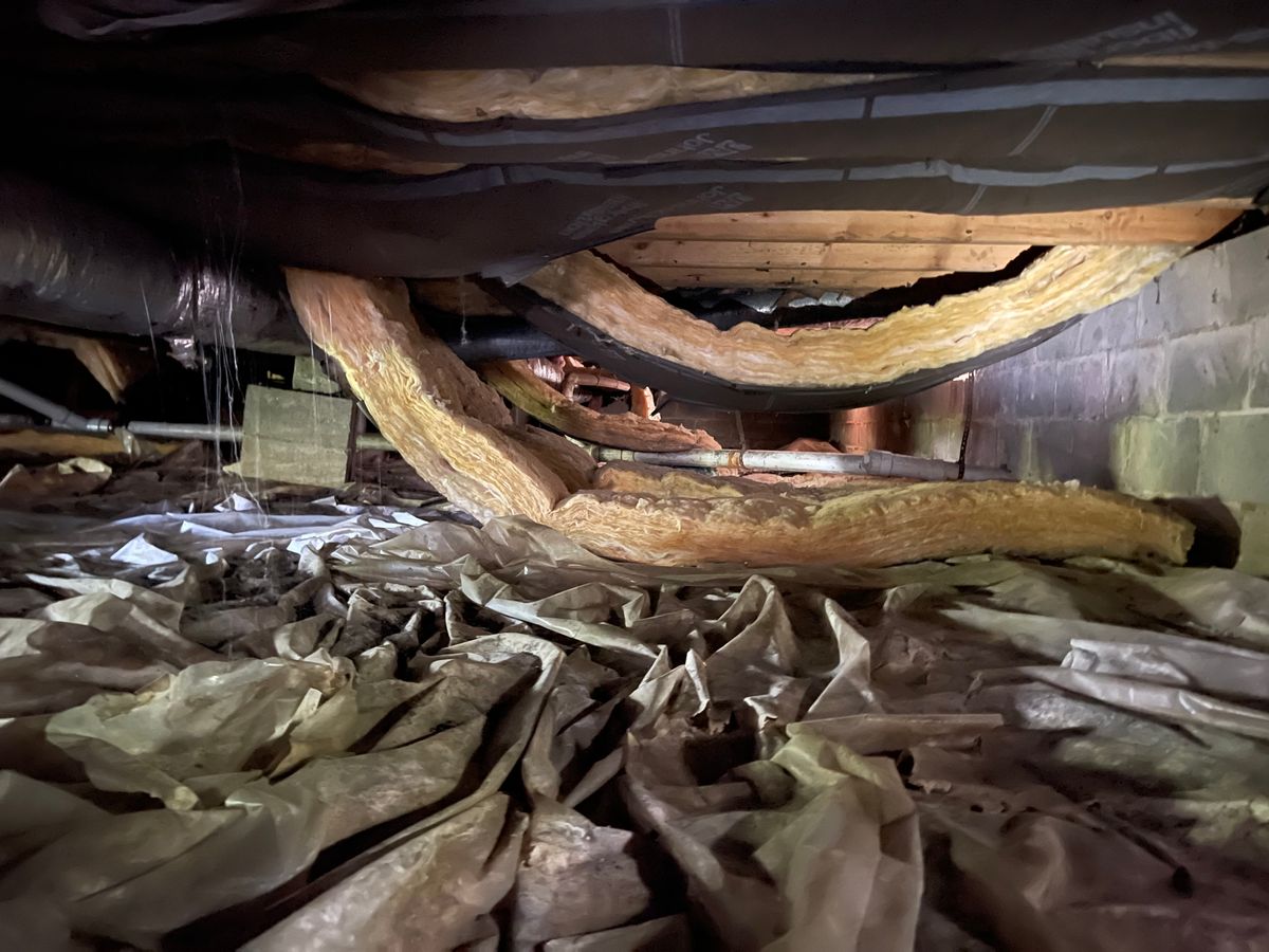 Crawl Space/Attic Renovation for All-In Pest Control & Home Solutions in Greene County, IN