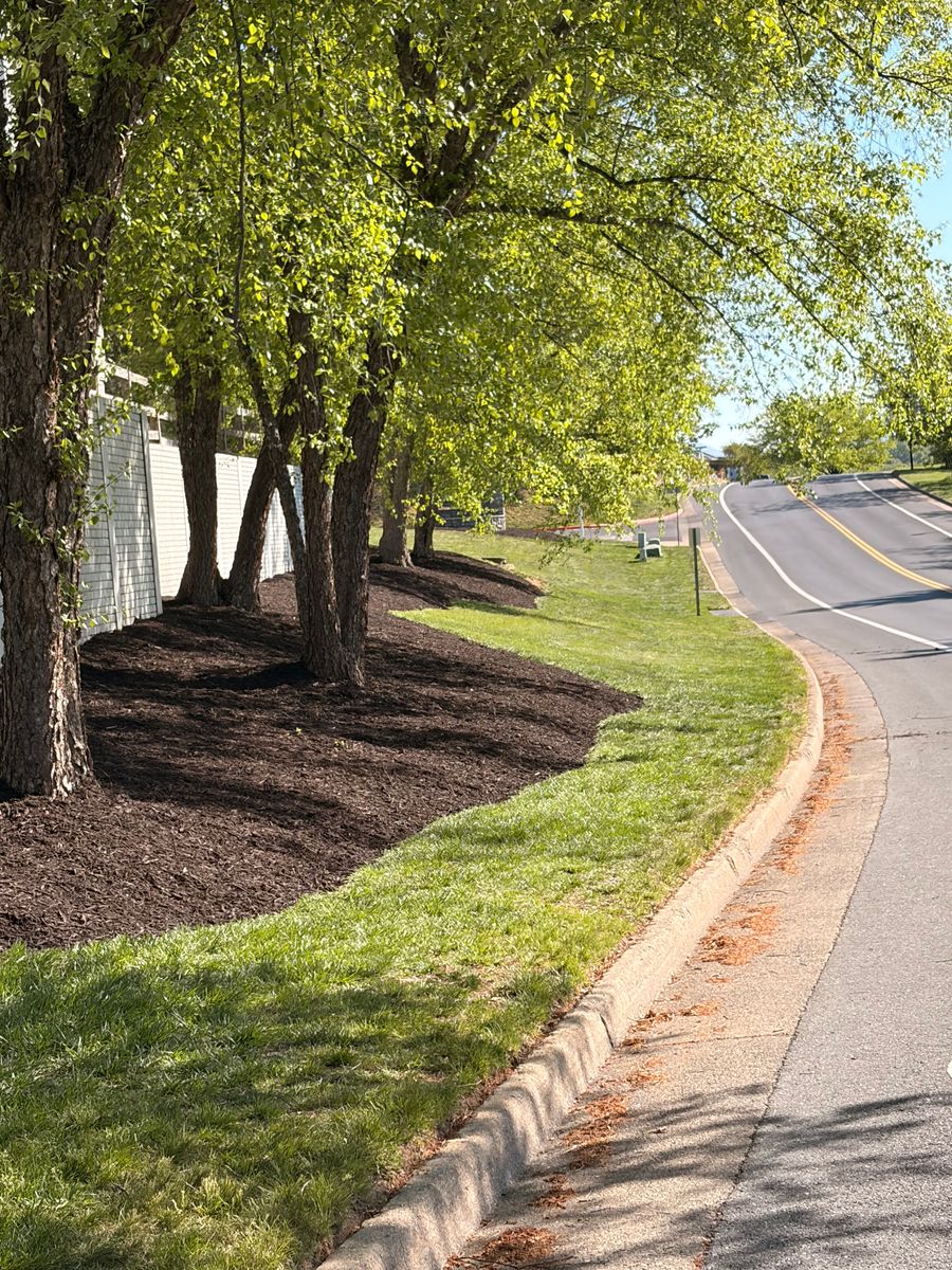 Mulch Installation for Valencia’s Lawncare in Charlottesville, VA