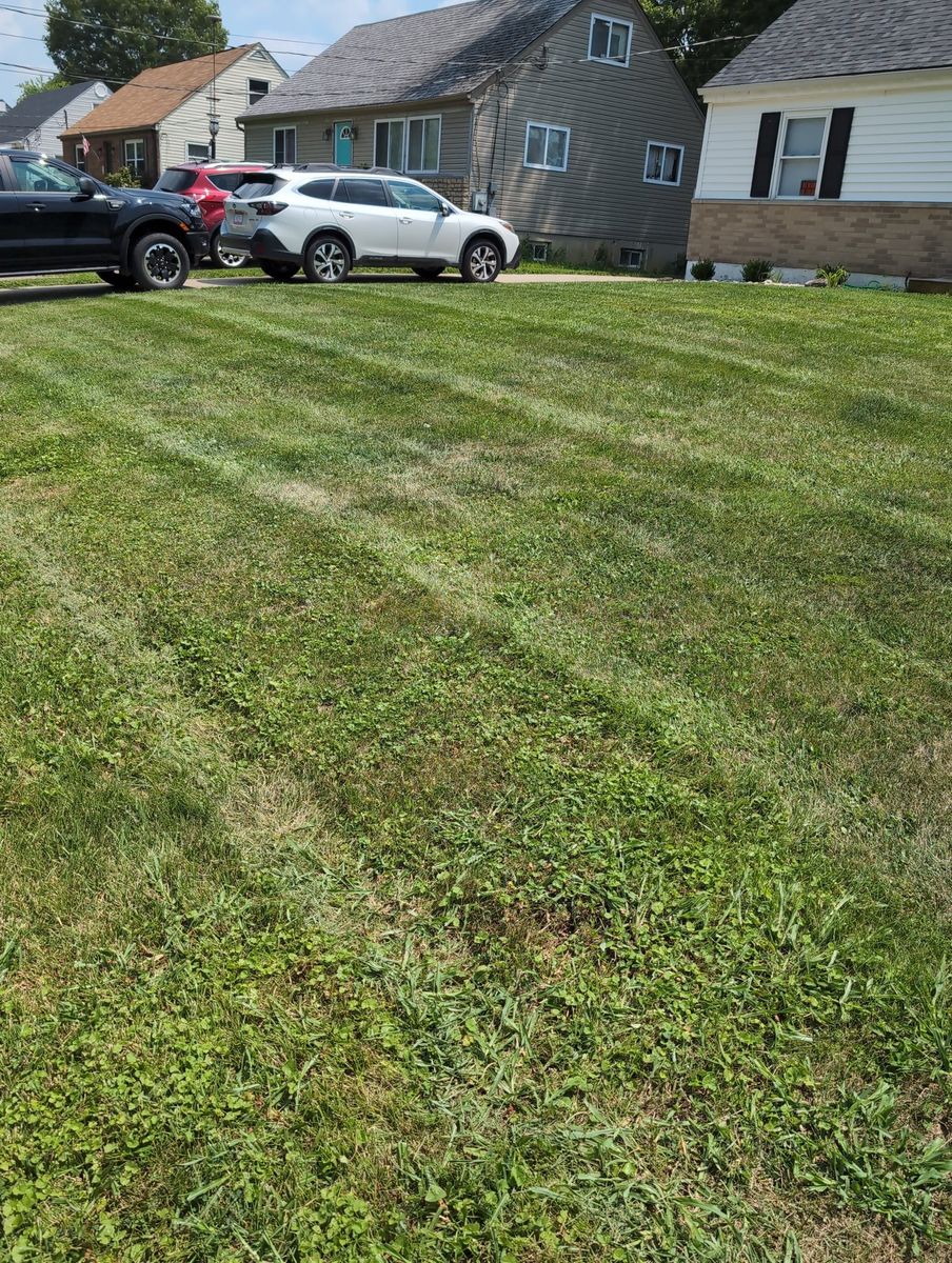 Lawn Maintenance for Vaske Lawn Care in Burlington, KY