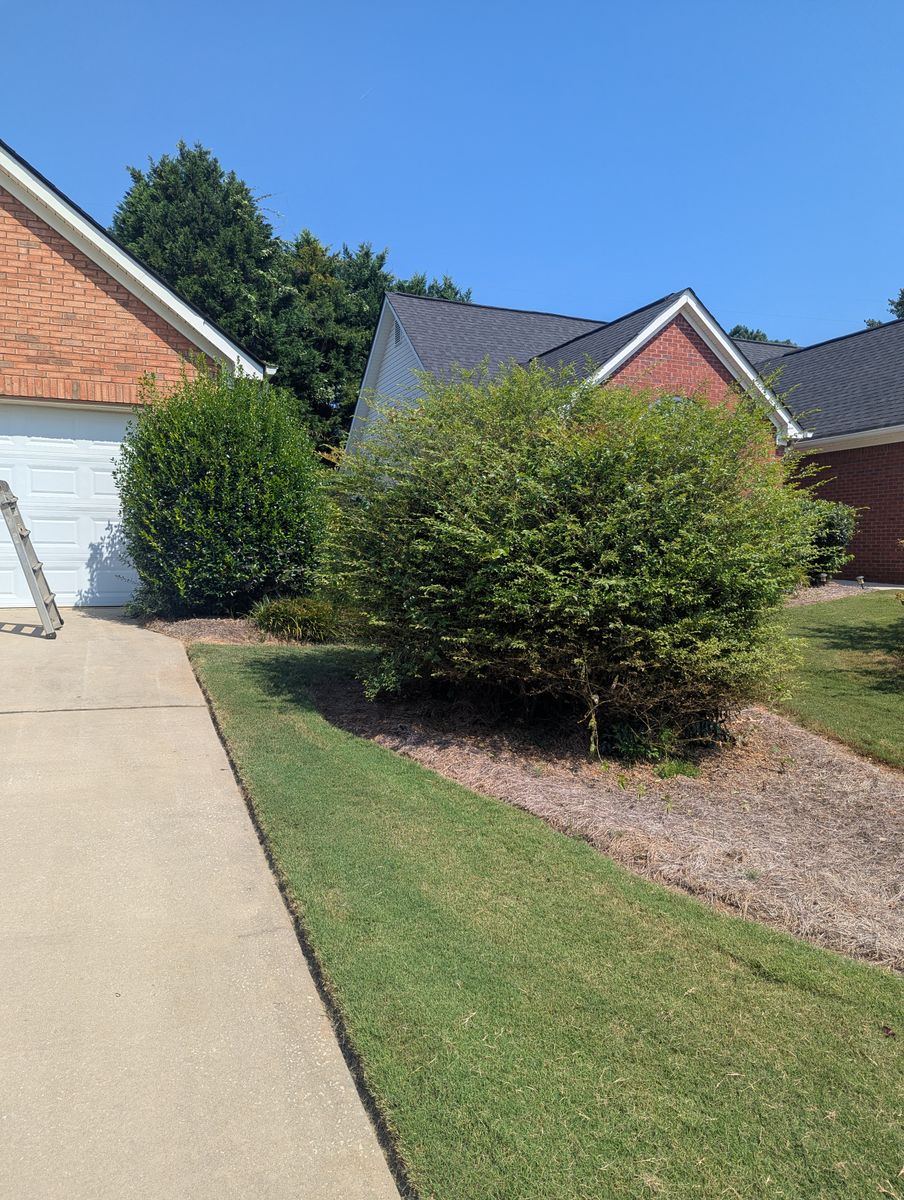 Shrub Trimming for Fantastic Lawn Care LLC in Fayetteville, GA
