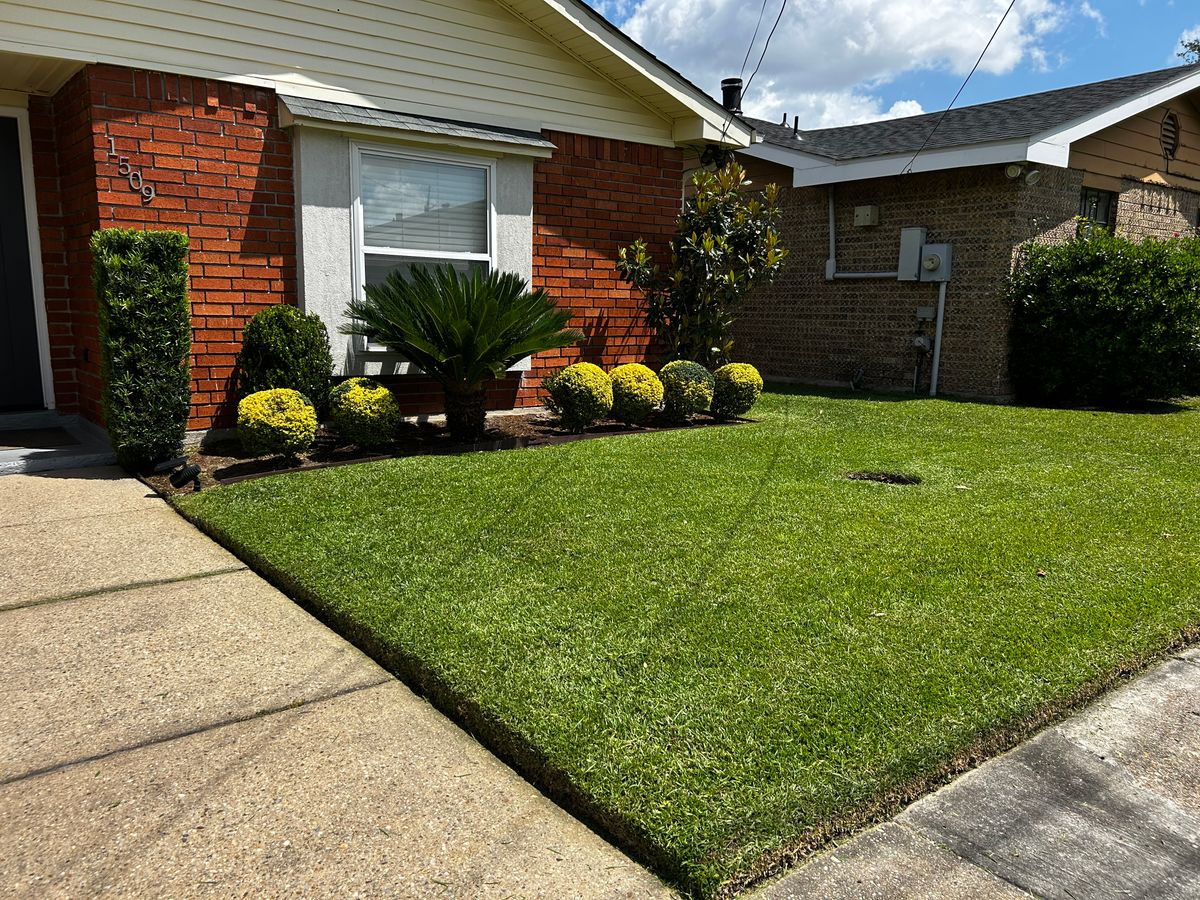 Shrub Trimming for Jay C’s Touch Landscaping & Pressure Washing Services LLC in Marrero, LA