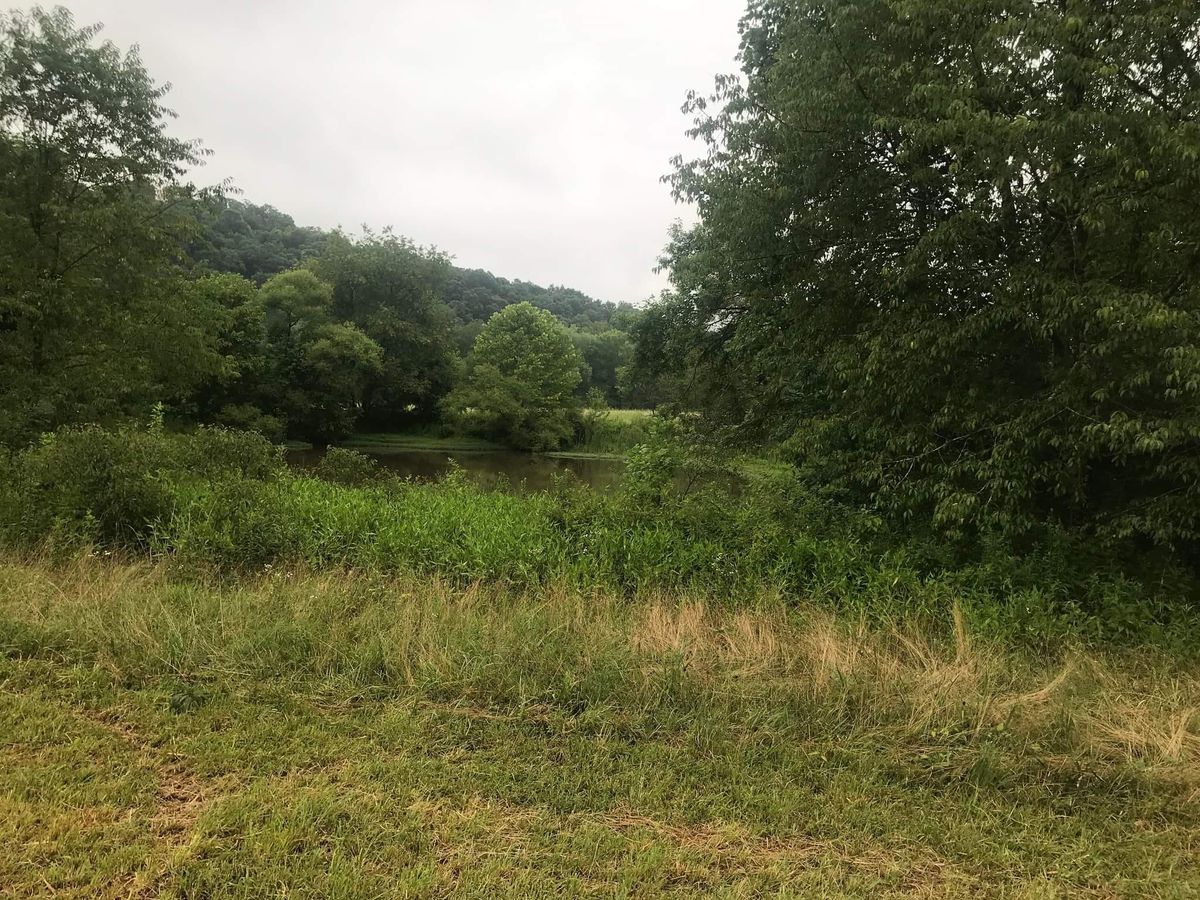 Land Clearing & Demolition for Kidd Excavating LLC in West Liberty, KY