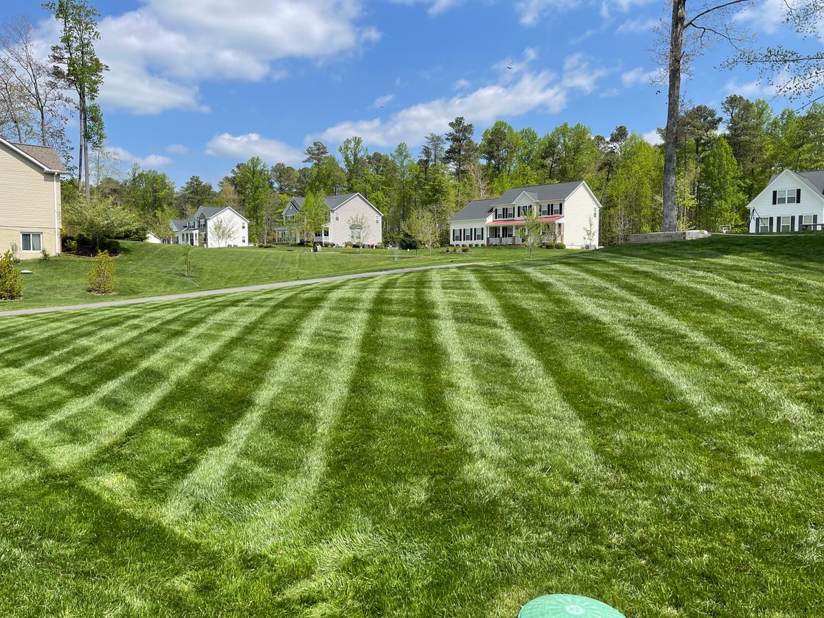 Weed Control & fertilization for Hurley's Cutz in Saint Leonard, MD