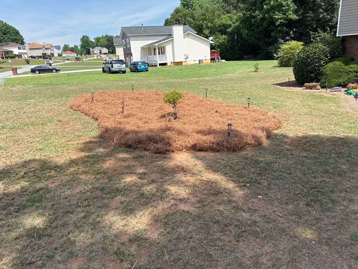 Pine straw installation for Prime Lawn LLC in Conyers, GA