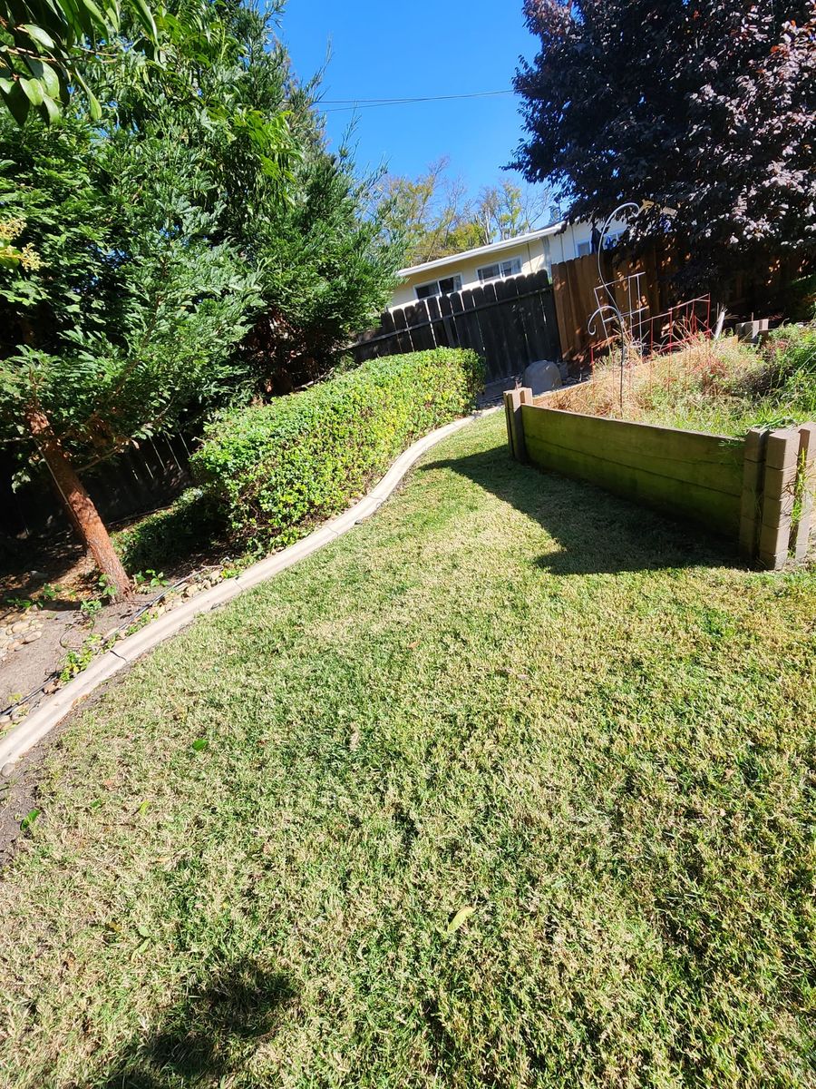 Lawn Maintenance for Vargas LANSCAPE LLC in Stockton, CA
