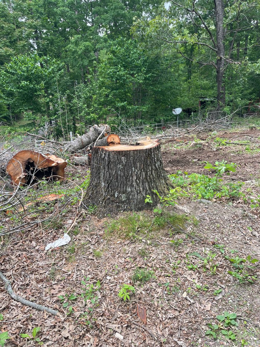 Land Clearing & Demolition for Maness Trucking & Excavation in Lexington, TN