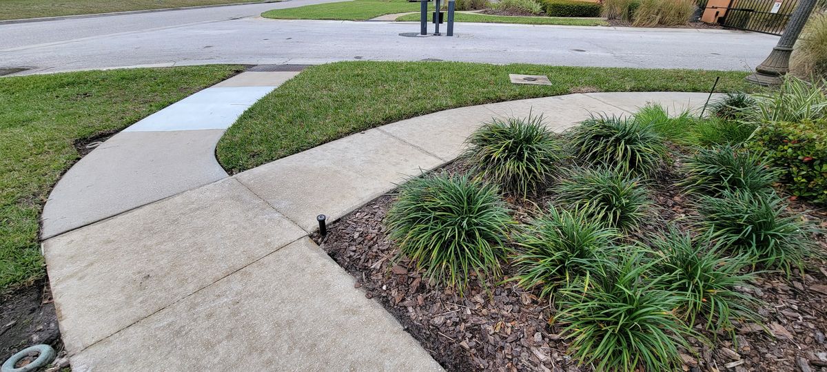 Driveway and Sidewalk Pressure Washing for Blue Stream Roof Cleaning & Pressure Washing in Tampa, FL