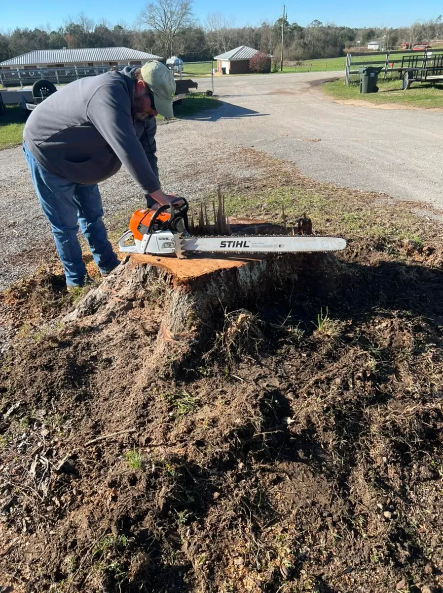 Stump Grinding for Southern Venom Services in Daphne, AL