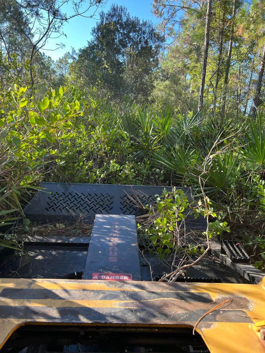 Tree Removal for CJ Dirtwork in Crescent City, FL